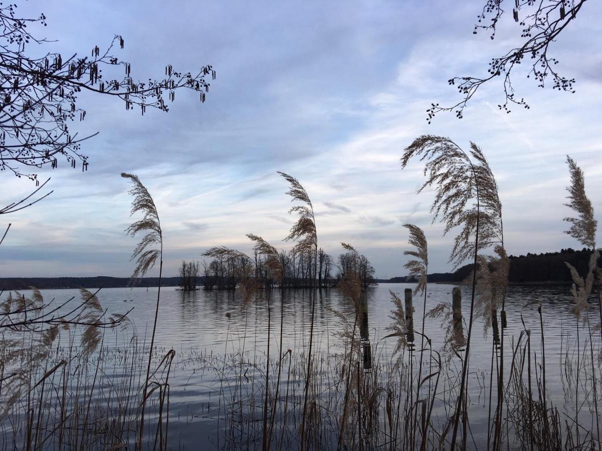 Vila Ferienhaus Ahornallee Wendisch Rietz Exteriér fotografie